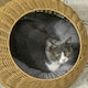 image 6 of PawHut Wicker Cat House with Washable Cushion for Indoor Cats, Light Brown