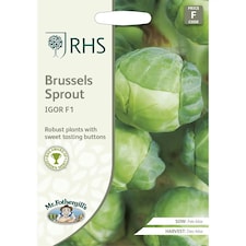 RHS Brussels Sprout Igor F1 Seeds