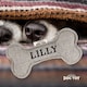 image 2 of History & Heraldry Pre-Personalised Squeaky Bone Dog Toy - Lilly