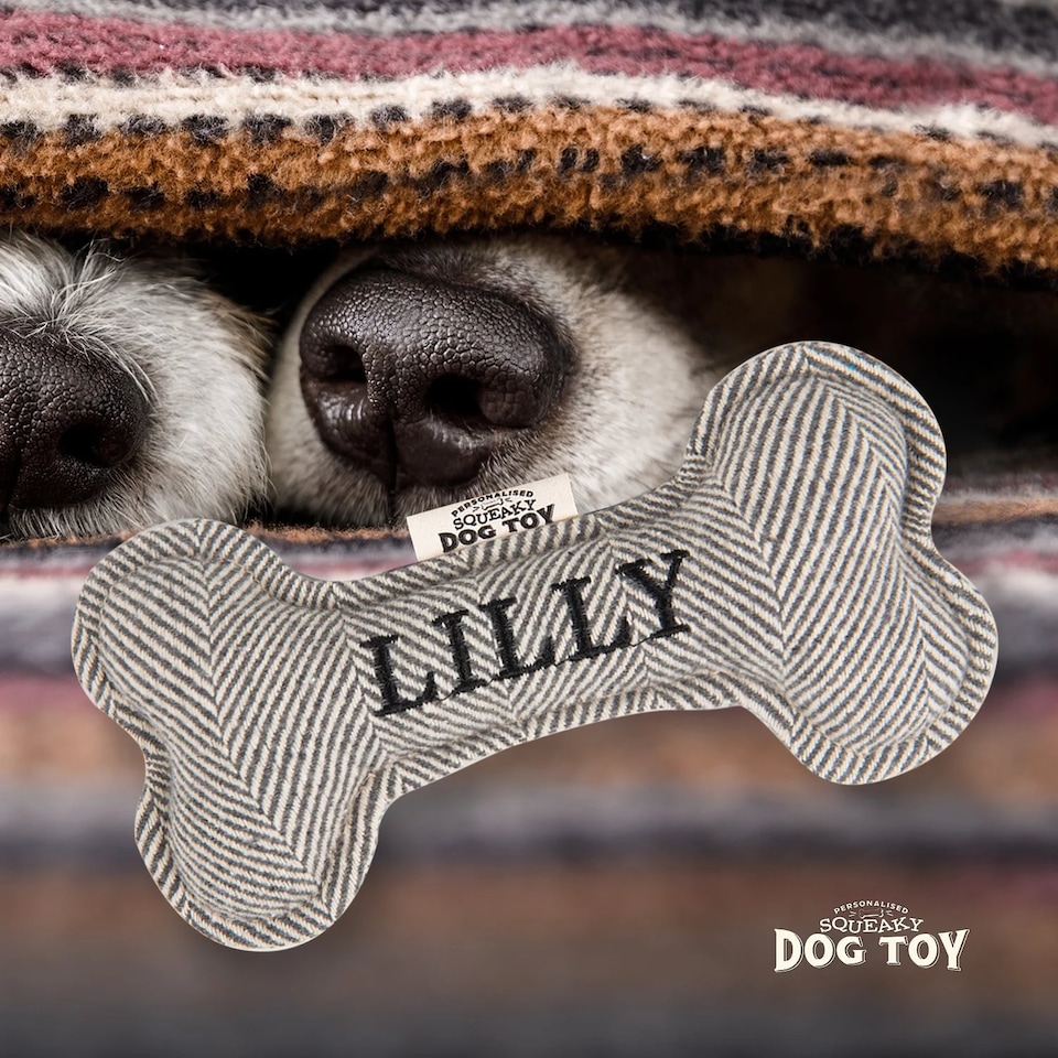image 1 of History & Heraldry Pre-Personalised Squeaky Bone Dog Toy - Lilly
