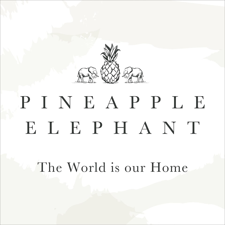 image 1 of Pineapple Elephant Zanzibar Woven Stripe Voile Curtain Panel | Grey