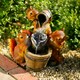 image 4 of Primrose Solar Squirrels Pouring Bowls Water Feature with Lights 39cm