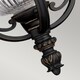 image 5 of Luverne 1 Light Outdoor Ceiling Chain Lantern Rubbed Bronze, E27