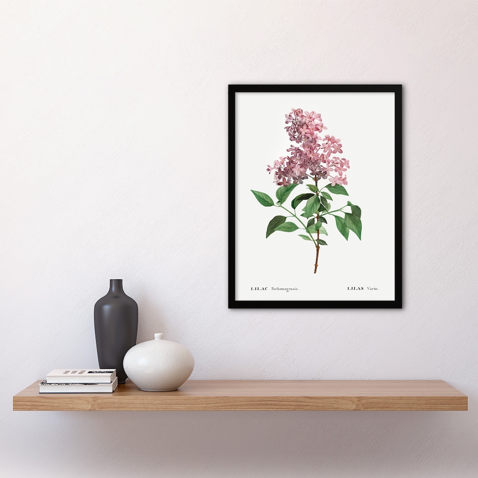 image 1 of Chinese Lilac Floral Redoute Vintage Framed Wall Art Print 12X16"