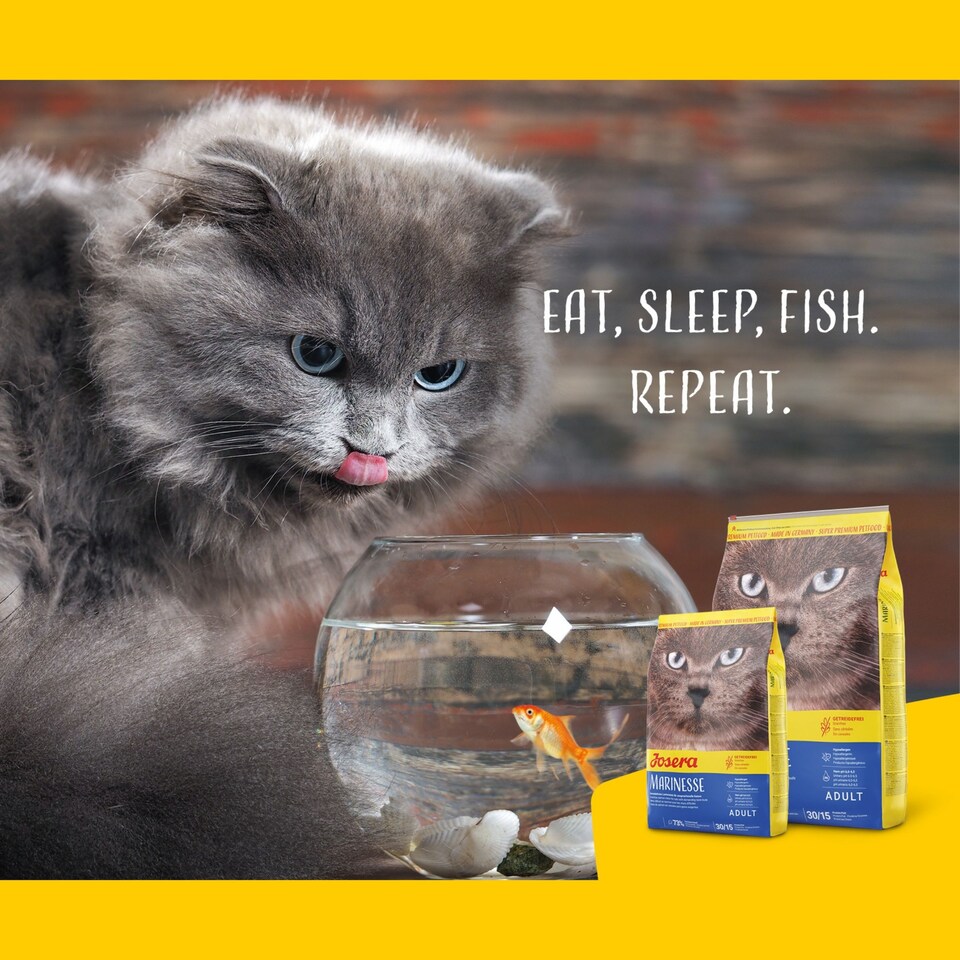 image 1 of Josera Marinesse complete adult cat food | Grain-free | Single animal protein | Salmon | Hypoallergenic | Sensitive | Anti-Hairball | Urinary pH | 8x0.4kg