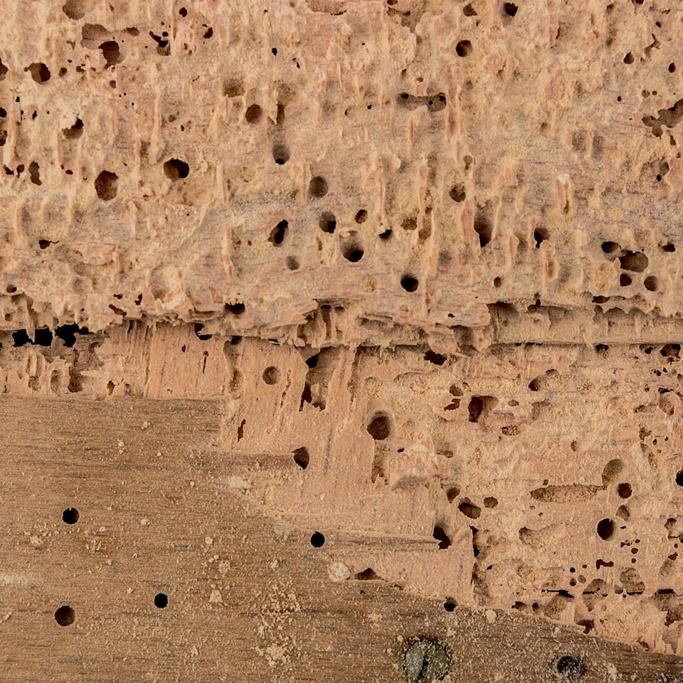 image 1 of Dryzone Moisture Meter - Damp Meter Detector for Wood, Masonry, Walls & Other Building Materials. Digital LCD Display