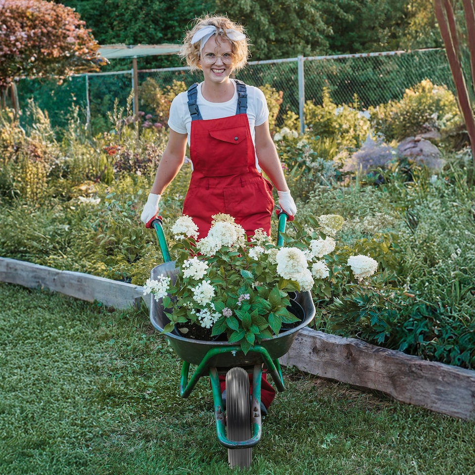 image 1 of PU Red 14" Replacement Puncture Proof Wheelbarrow Wheel 3.50-8 Solid Tyre UK