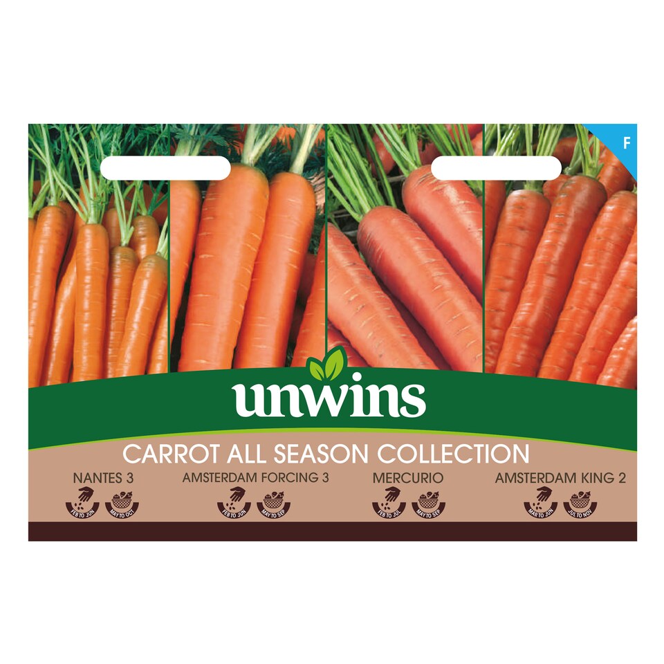 image 1 of Carrot All Season Collection Pack | Multi | Orange | Seeds | 1