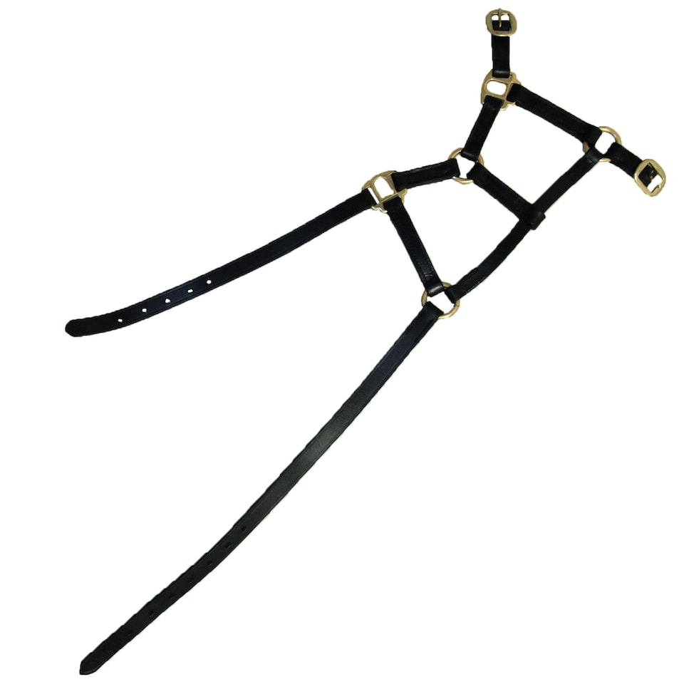image 1 of Hy Leather Foal Head Collar - Black - Medium