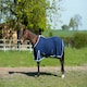 image 4 of Gallop Equestrian Summer Sheet Pink | Size: 6ft 0
Colour: Burgundy