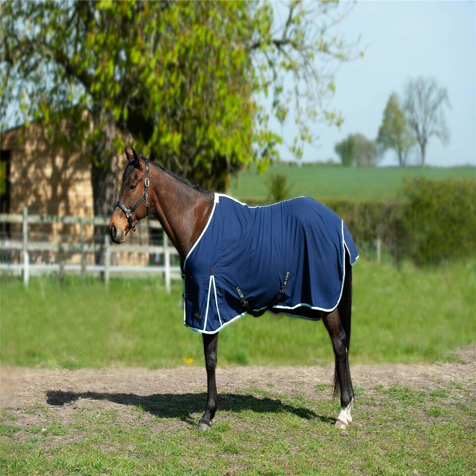 image 1 of Gallop Equestrian Summer Sheet Pink | Size: 6ft 0
Colour: Burgundy