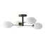 Brushed Brass - Selected