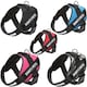 image 1 of Dog Body Harness - Bunty Yukon Harness Black | S