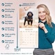 image 6 of Gordon Setter 2026 Calendar | Square Wall Calendar | Dog Breed Gift | Plastic Free Packaging | by Avonside Publishing