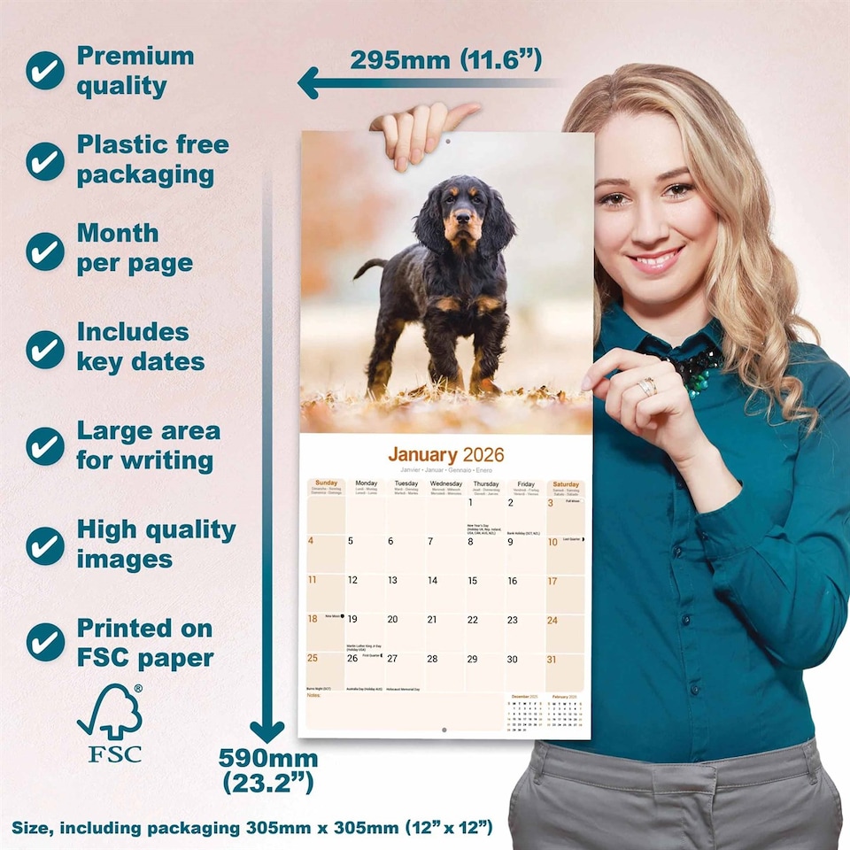 image 1 of Gordon Setter 2026 Calendar | Square Wall Calendar | Dog Breed Gift | Plastic Free Packaging | by Avonside Publishing