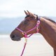image 4 of Shires Topaz Nylon Headcollar | Black | Pony