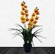 image 1 of 90cm Yellow Flower Orchid Plant