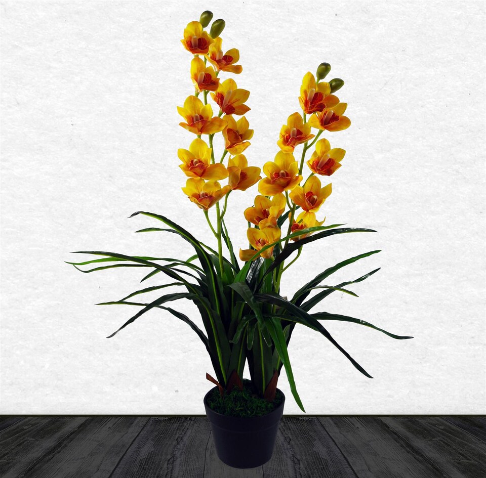 image 1 of 90cm Yellow Flower Orchid Plant