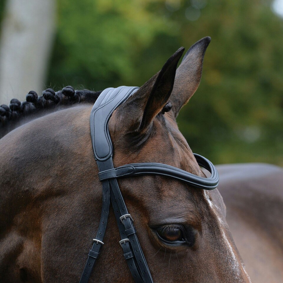 image 1 of Collegiate Comfitec Vogue Leather Horse Bridle - Black - Cob
