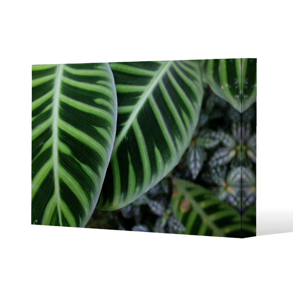 image 1 of yellow structure in exotic jungle setting (Canvas Print) 31 x 41 x 4cm