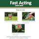 image 4 of Westland GRO-Sure Fast Acting Lawn Seed 10 Meter Square + 30 Percent Extra Quick Germination Grass Seed for Lawn Repair & Growth