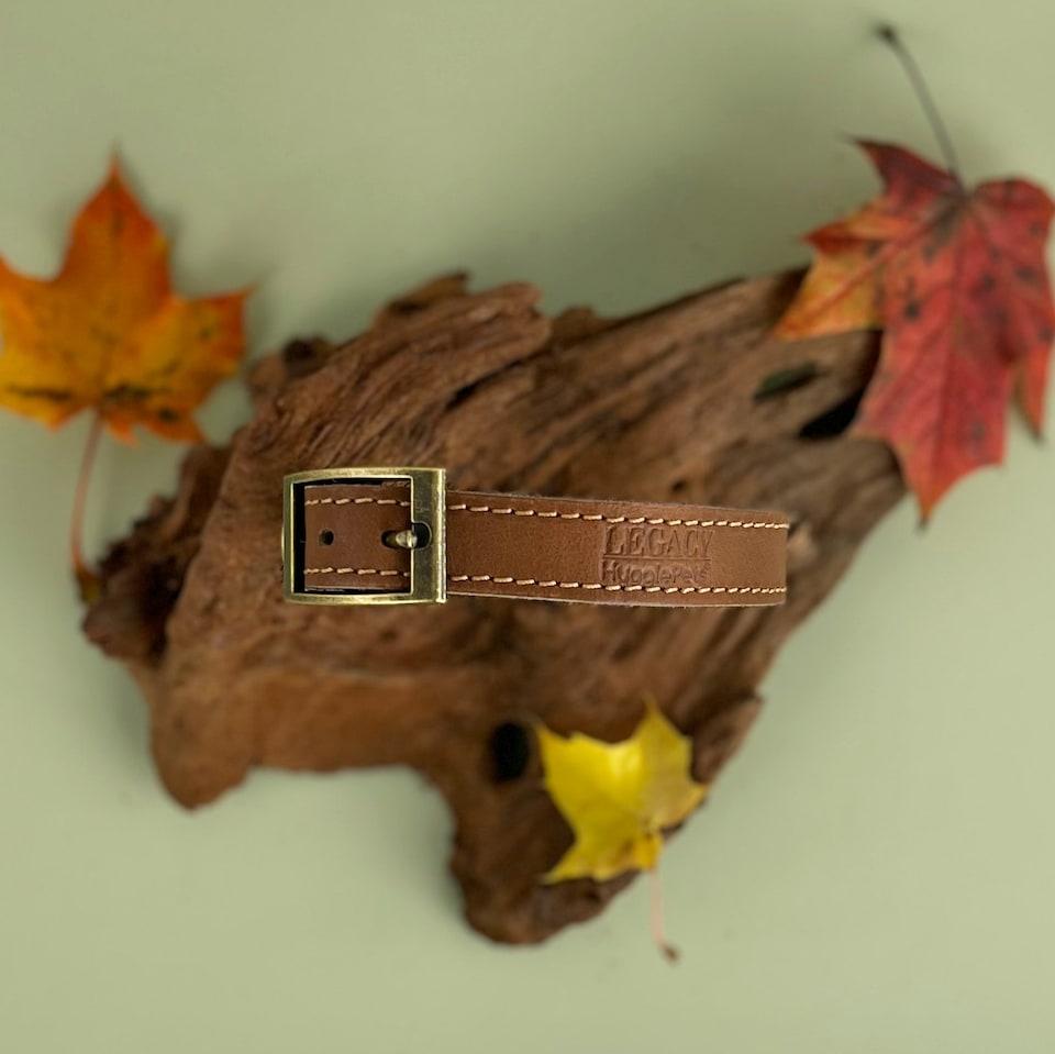 image 1 of HugglePets Legacy Leather Dog Collar - Tan | Multi | M