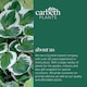 image 4 of Carbeth Plants Hosta Minuteman 3 x 9cm Pots - Hardy Lavender Summer Outdoor Perennial Garden Ready Shrub for Shaded Borders & Containers