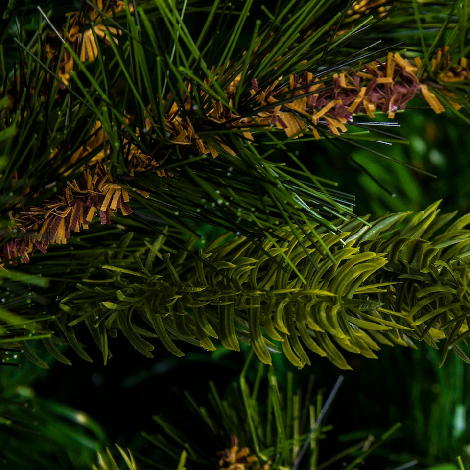 image 1 of Christmas Tree World  6ft/180cm Foresta Pine Christmas Tree