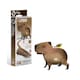 image 1 of Eugy Capybara 120 3D Model Craft Kit