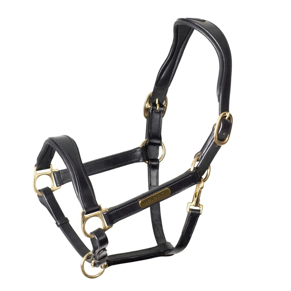 Velociti Rapida Leather Horse Headcollar - Black - Full