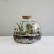 image 6 of Bowl Shape Terrarium DIY Kit Clear