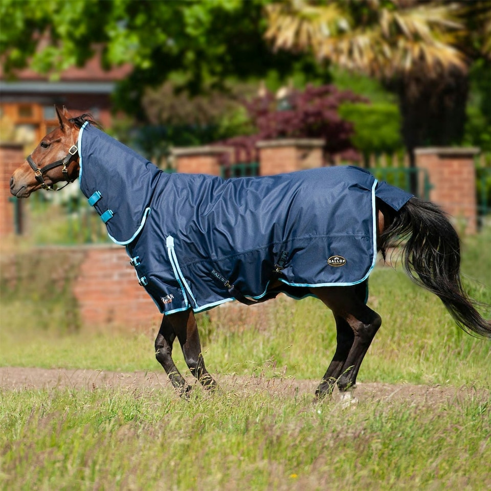 image 1 of Gallop Equestrian Trojan 350 Combo Turnout Brown | Size: 5ft 6
Colour: Navy/Sky Blue
