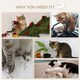 image 7 of PawHut Cat Wall Furniture Condo Perches Scratch Posts Steps 8 Piece Beige
