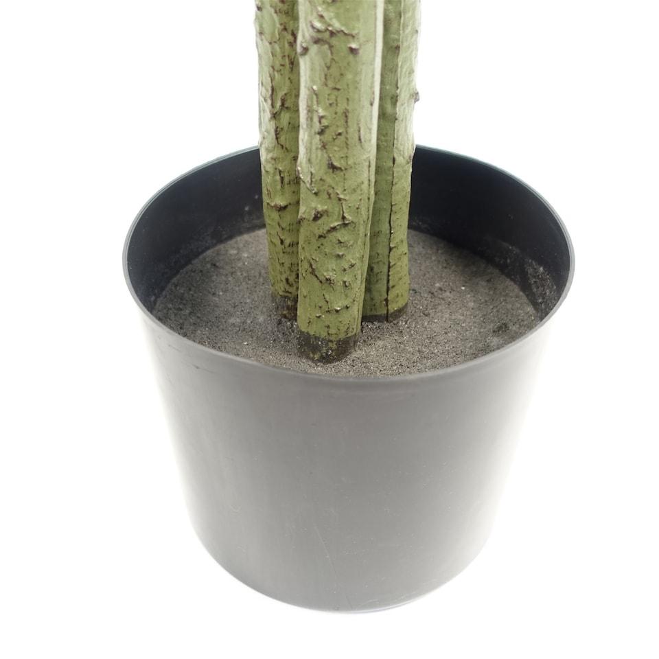 image 1 of Artificial Ficus Tree Realistic - HUGE 180cm 6FT | Green | 6ft