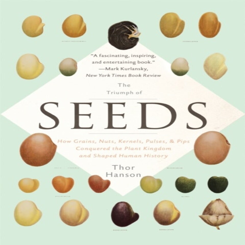 The Triumph Of Seeds