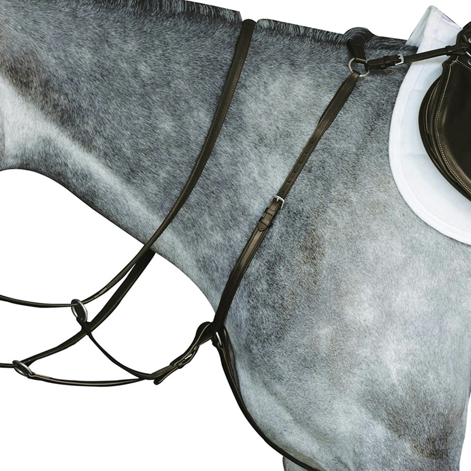 image 1 of Collegiate Hunter Breast Plate IV - Brown - Warmblood