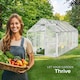 image 8 of Aluminium greenhouse, UV-resistant, 185x375x195cm