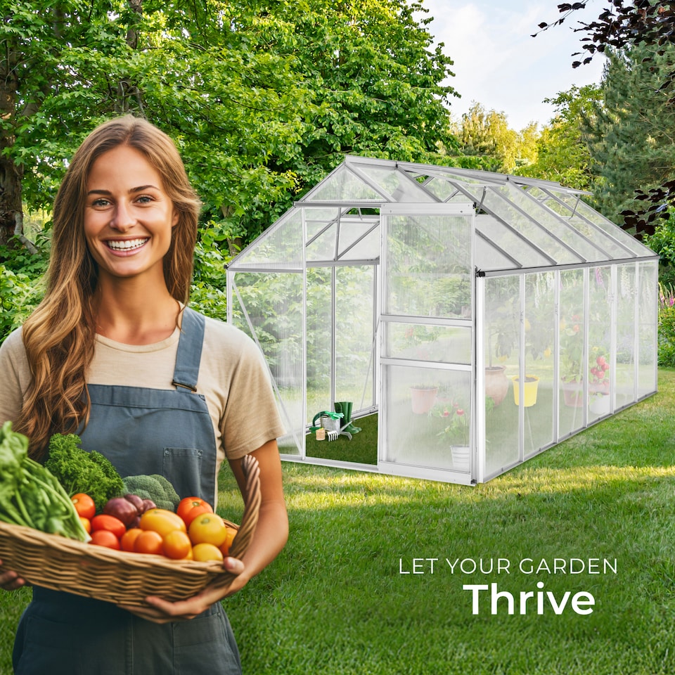 image 1 of Aluminium greenhouse, UV-resistant, 185x375x195cm