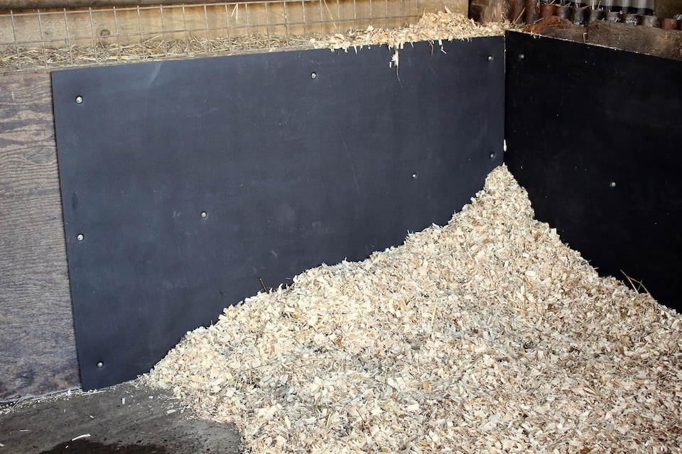 image 1 of Stable Wall Mat EVA Foam Protection 6ft x 4ft x 10mm