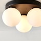image 6 of Toronto 3 Light IP44 Flush Matte Black Ceiling Light