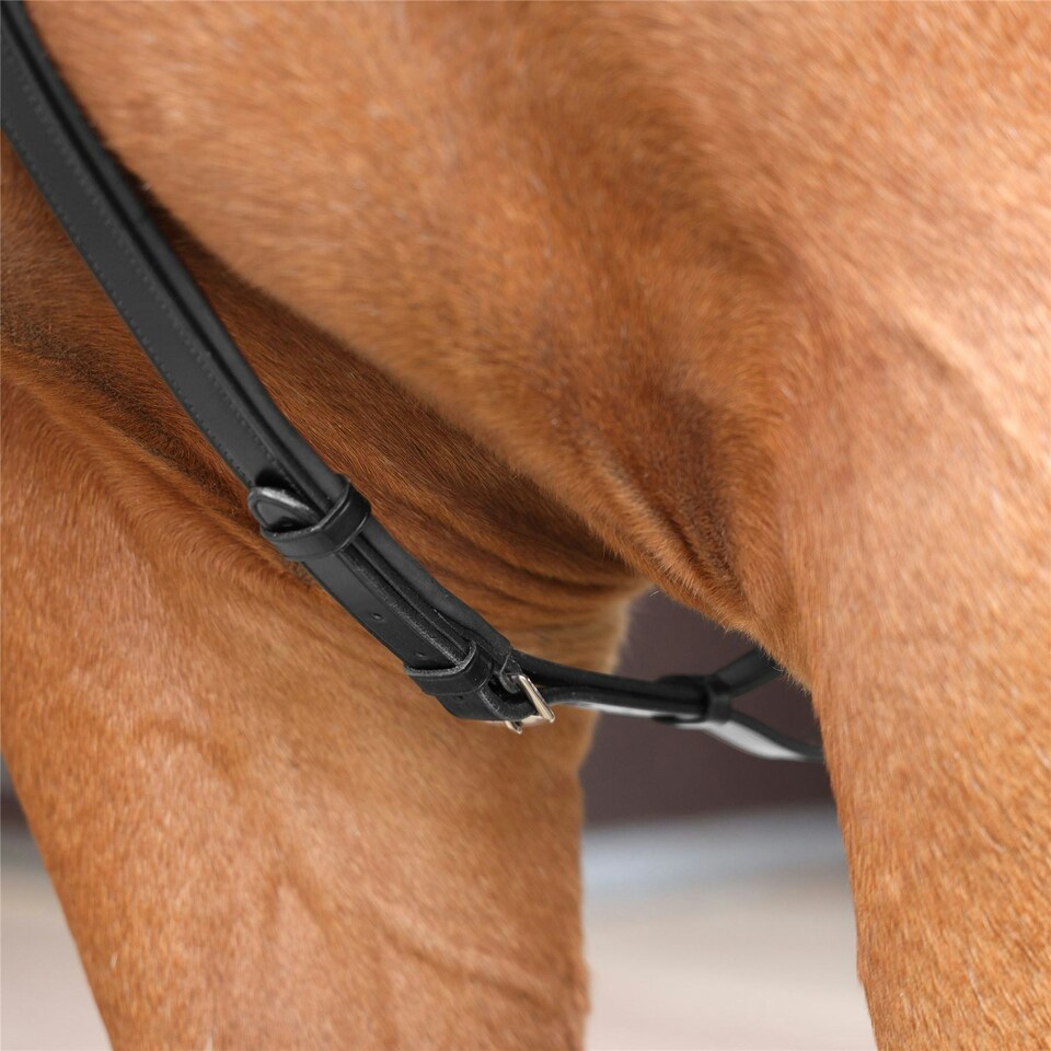 image 1 of Lusso 3 Point Elastic Breastplate Black | Size: Full
Colour: Black