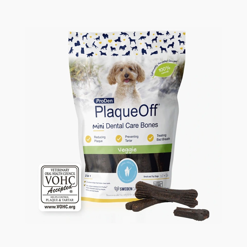image 1 of ProDen PlaqueOff Veggie Mini Dental Bones for Small & Toy Dogs
