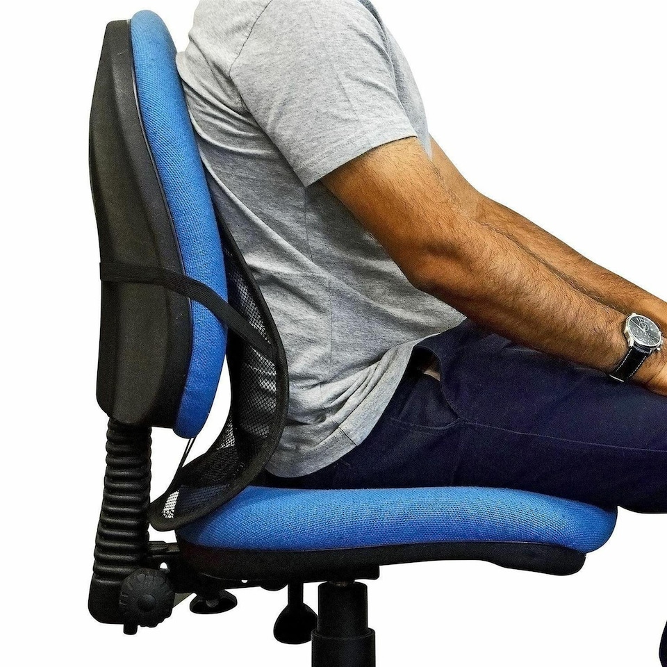 image 1 of GEEZY Lumbar Mesh Back Support for Home Office Chair