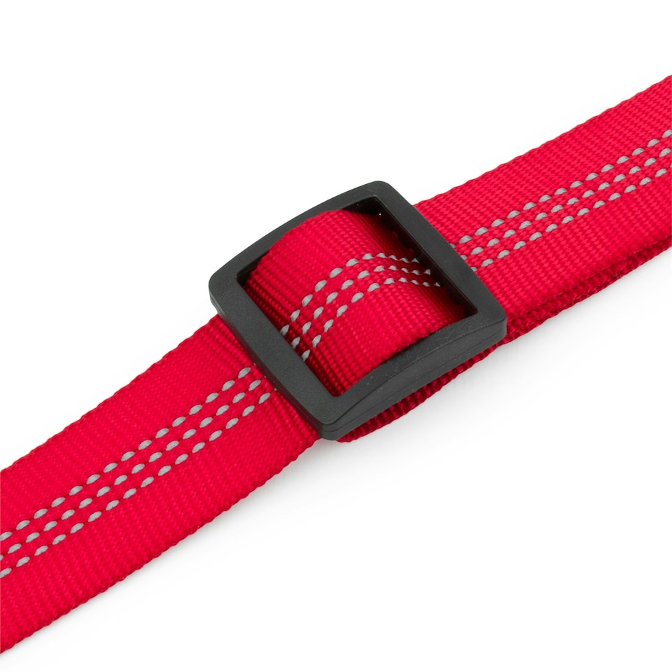 image 1 of KCT Red Car Seatbelt for Dogs - 2 Pack Red | L
