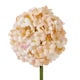 image 2 of The Natural Garden Collection White & Apricot Allium - Artificial Flower (Single Stem) - Plastic - H56 cm - White
