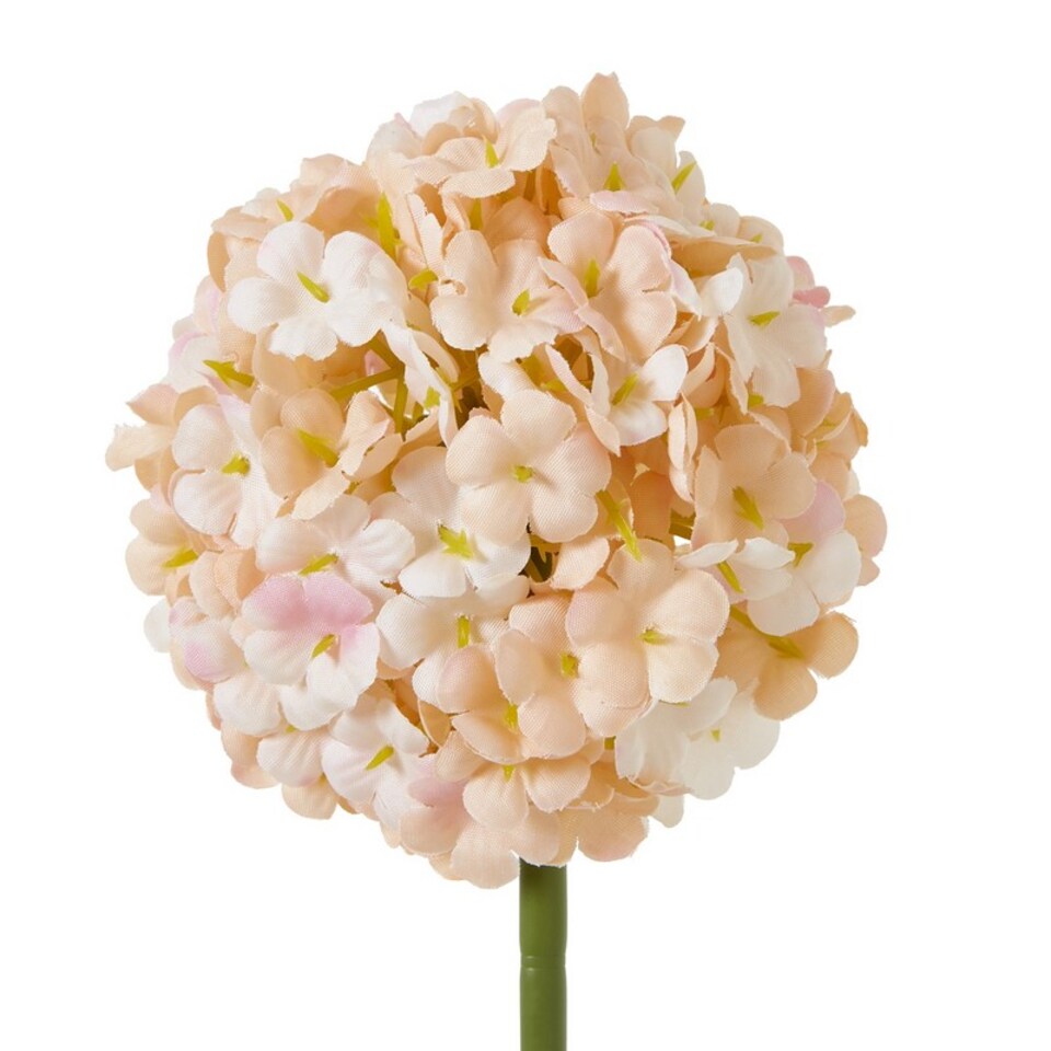 image 1 of The Natural Garden Collection White & Apricot Allium - Artificial Flower (Single Stem) - Plastic - H56 cm - White