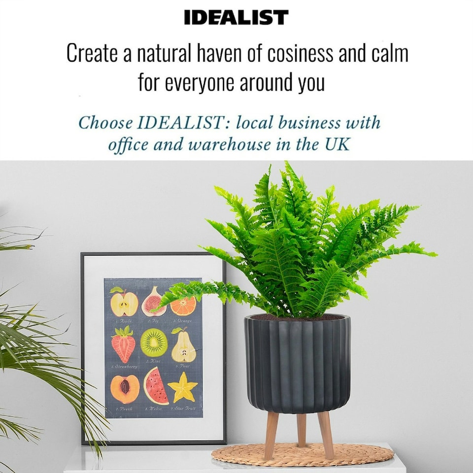 image 1 of Modern Ribbed Black Cylinder Planter on Legs, Round Pot Plant Stand Indoor D24 H32 cm, 7.6 ltrs Cap.