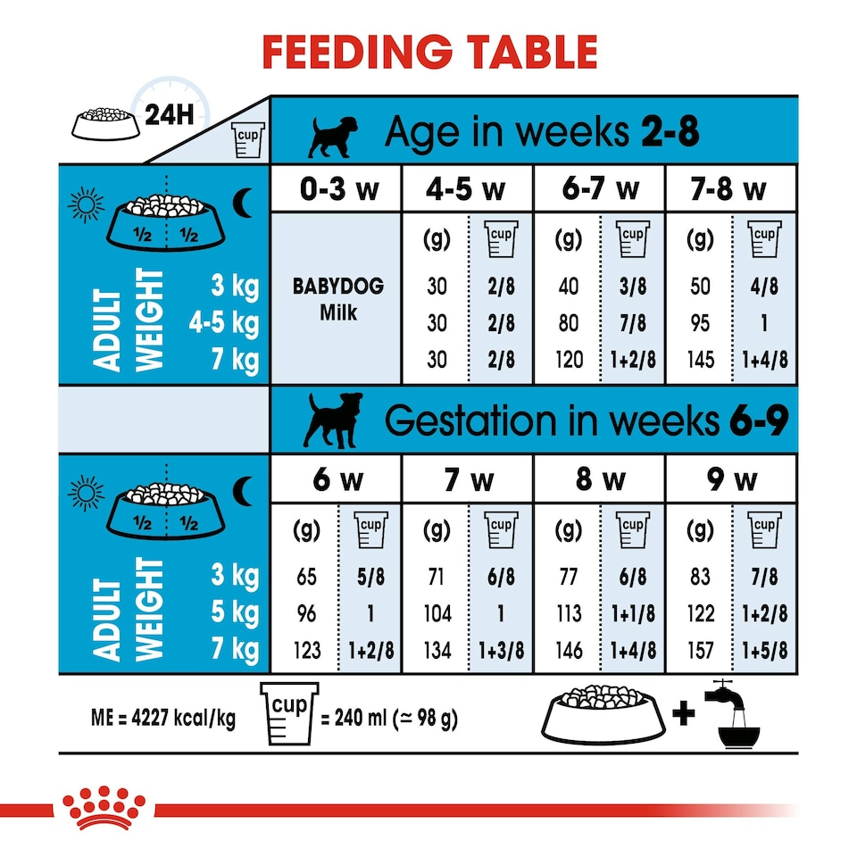 image 1 of ROYAL CANIN® Mini Starter Mother & Babydog Adult and Puppy Dry Food N/A | Size: 1kg