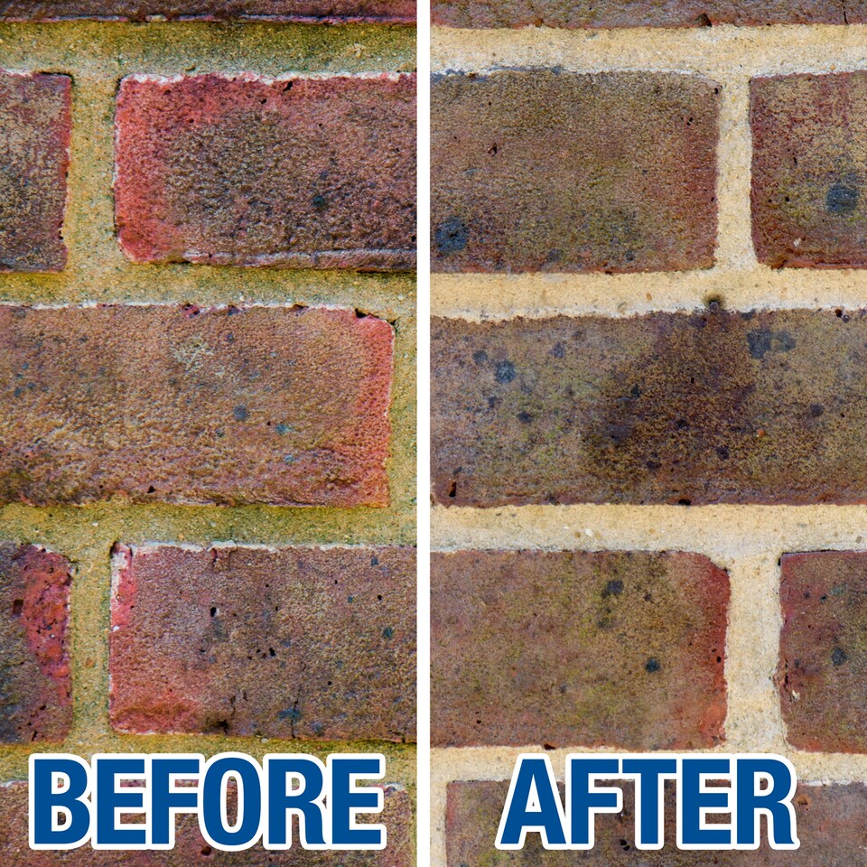 image 1 of Soluguard Multi Surface Biocide (1 x 5L & Sprayer ) Kit -High Strength, Ready For Use Against Fungi, Mould, and Algae Cleaner