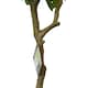 image 6 of True Products Premium Artificial Olive Tree 170cm Tall Green | One Size